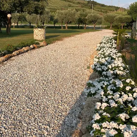 Dimora Tra Gli Ulivi Del Cilento Alojamento de Acomodação e Pequeno-almoço Capaccio